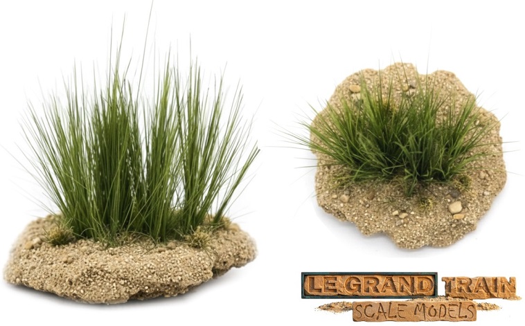 Long Grass