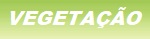 Vegetação
